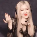 Стикер rose blackpink