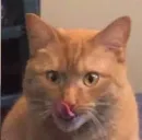 Сохранёночки by TeaCultAdept