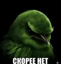 Birds Memes