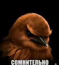 Стикер Birds Memes
