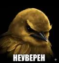 Birds Memes