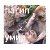 Совсем ебобо что ли