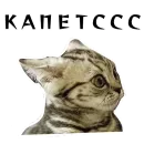 Стикер Спящий Режим