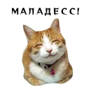 Стикер Спящий Режим
