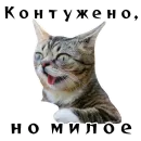 Стикер Спящий Режим