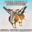 Стикер Братва