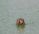Стикер Братва