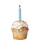 aesthetics