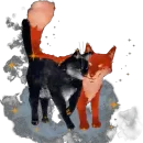 кот и лис