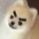 Стикер Песели