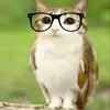 Стикер Meowl
