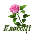 Стикер Открытки