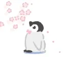 Стикер Penguins
