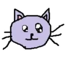 котики