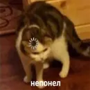Стикер Memes