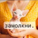 Стикер sticks d 459a by Tg Emodzi Bot