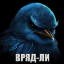 Стикер Birds Memes