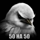 Стикер Birds Memes