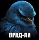 Birds Memes