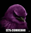 Стикер Birds Memes