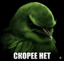 Стикер Birds Memes