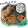 Стикер Больше стикеров 👉