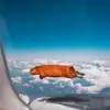 Стикер Больше стикеров 👉