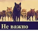 Стикер Сильный не тот, кто сильный