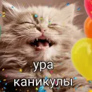Стикер учеба