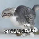 Стикер учеба