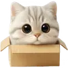 Супер милый кот