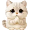 Стикер Супер милый кот