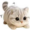 Стикер Супер милый кот
