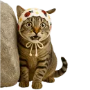 Кот с платком