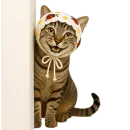 Стикер Кот с платком