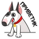 Стикер Такер