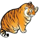 Стикер Tiger