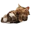 Pets