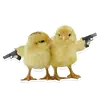Стикер Pets
