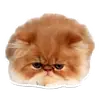 Стикер Pets