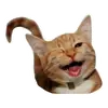 Стикер Pets