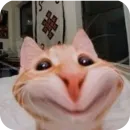 Стикер Group Chatting