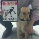 Стикер telexorros