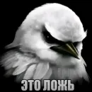 Стикер Birds Memes