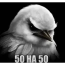 Стикер Birds Memes