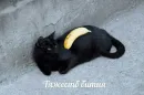 Стикер 1000 и 1 це кiт