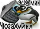 3d penguin