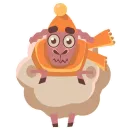 Sheep