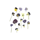 Стикер nydelig