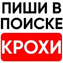 Стикер котики